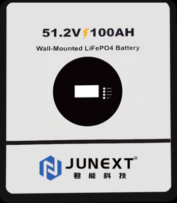 25.6V 51.2V Wall Mounted Battery Power Storage Residential Lithium Battery 100Ah 2.56kWh